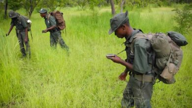 Africa-Opens-Discussion-on-Anti-Poaching-Efforts-TOURISMAFRICA-TRAVELINDEX.jpg