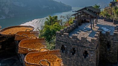 UN-Tourism-Opens-Call-for-Best-Tourism-Villages-2025-TRAVELINDEX.jpg