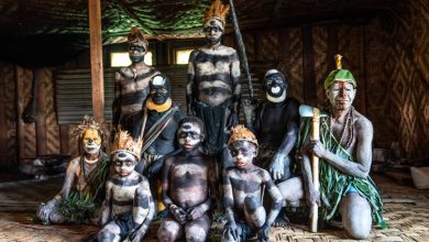 Sing-Sing: A Celebration of Papua New Guinea's Cultural Diversity - TOP25 Experiences
