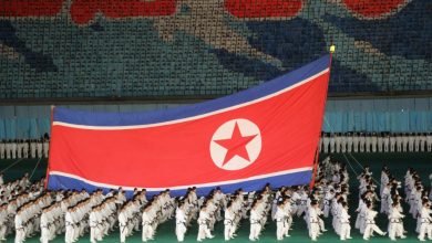 Arirang Mass Games